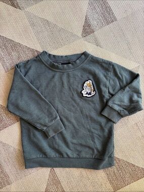 Patagonia lightweight crew sweatshirt